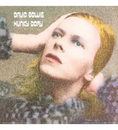 David Bowie Hunky Dory Album Cover 30.5x30.5cm