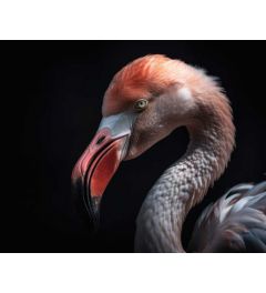 Flamingo Portret Kunstdruk 40x50cm