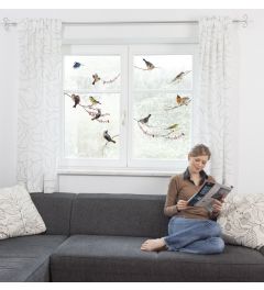 Birds Window Sticker Set