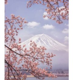 Mount Fuji in Spring Kunstdruk