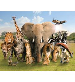 Wild Animals Poster 40x50cm