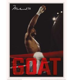 Muhammad Ali Goat Art Print 30x40cm