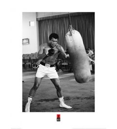 Muhammad Ali Punch Bag Art Print 60x80cm
