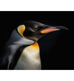Pinguïn Portret Kunstdruk 40x50cm