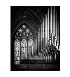 Organ Black & White Art Print