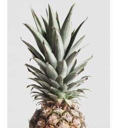 Pineapple Kunstdruk