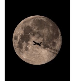 Fly Me to the Moon Kunstdruk