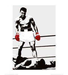 Muhammad Ali Gloves Art Print 40x50cm