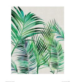 Summer Thornton Palm Leaves Art Print 40x50cm