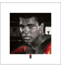 Muhammad Ali Boxing Gloves Art Print 40x40cm