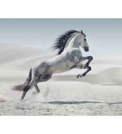 Prancing Horse Art Print 40x50cm