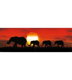 Elephants Poster Sunset 30x91.5cm 