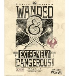 Fantastic Beasts Extremely Dangerous Poster 40x50cm