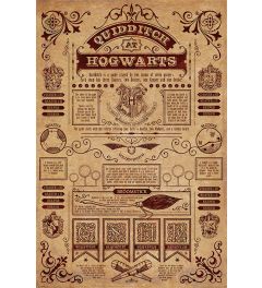 Harry Potter Quidditch At Hogwarts Poster 61x91.5cm