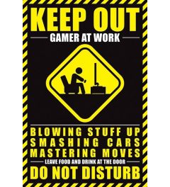 Gamer At Work Poster 61x91.5cm