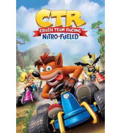 Crash Team Racing Race Poster 61x91.5cm