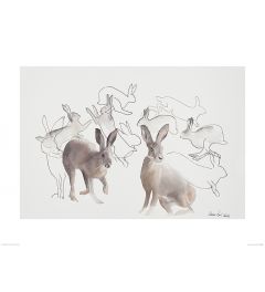 Jumping Hares Art Print Aimee Del Valle 60x80cm