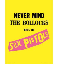 Sex Pistols Never Mind The Bollocks Art Print 30x40cm