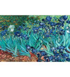 Van Gogh Les Irises Poster 91.5x61cm