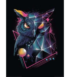 Vincent Trinidad Rad Owl Art Print 30x40cm